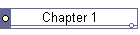 Chapter 1