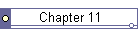 Chapter 11