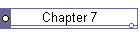 Chapter 7